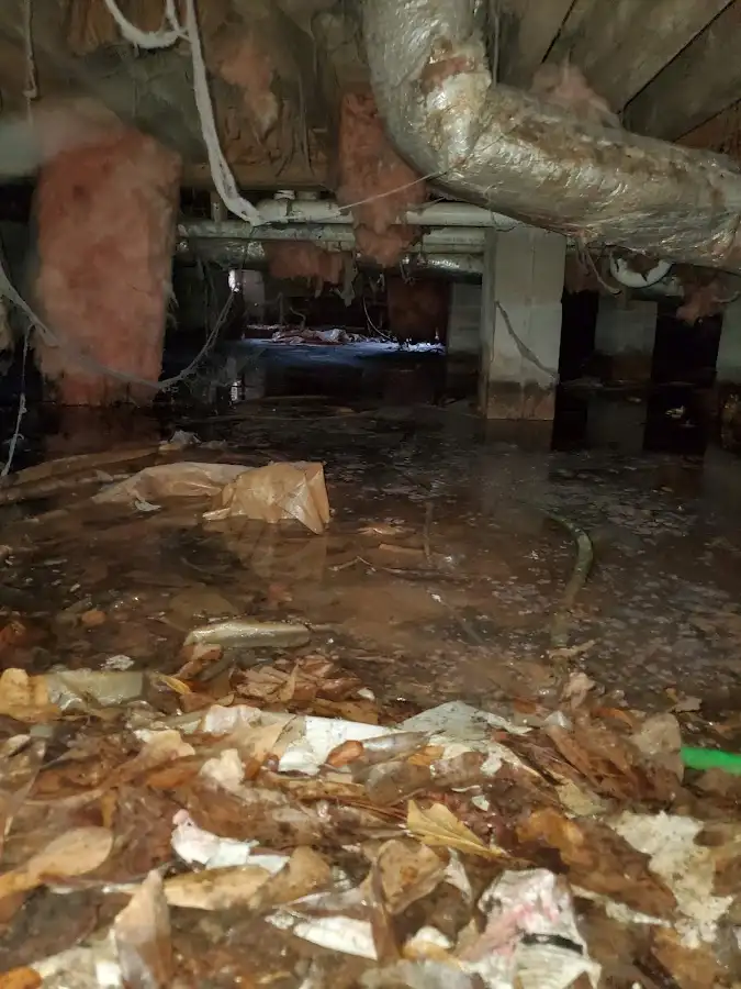 Crawl space flood assessment for Leak Detection & Repair in Union
