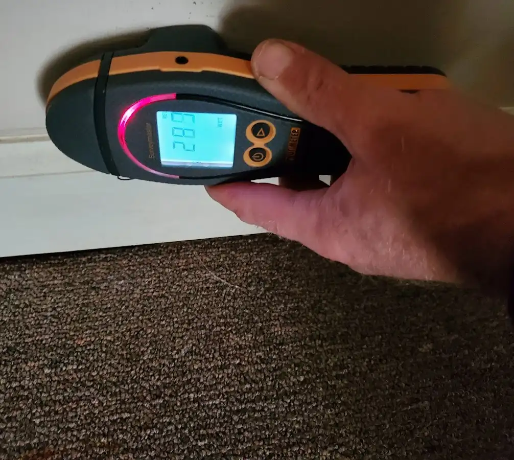 Moisture detection at baseboard during Sewage Cleanup & Sanitation in Union